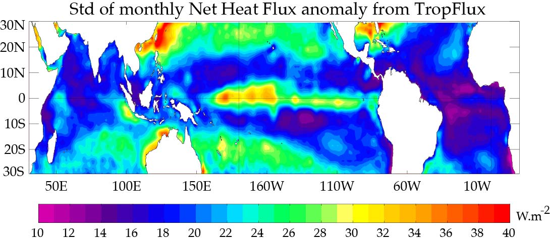 Std of monthly Net Heat Flux anomaly from TropFlux (1989-2010)